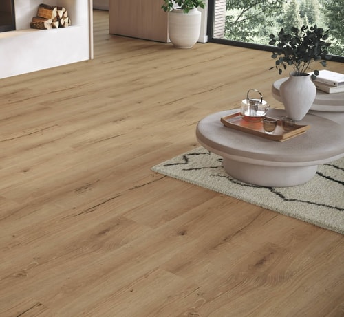 Parador Basic 30