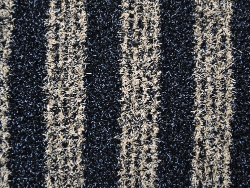 Zebra 61 béžovočerná