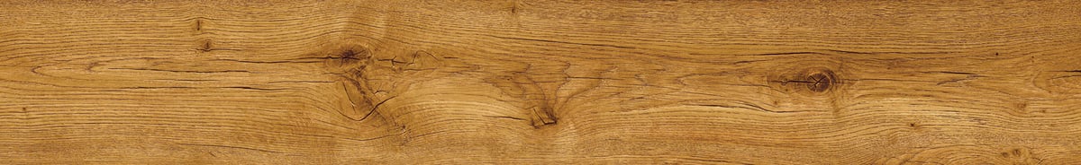 Primero 24847 Major oak