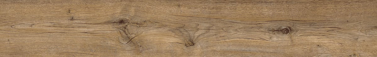 Primero 24856 Major oak