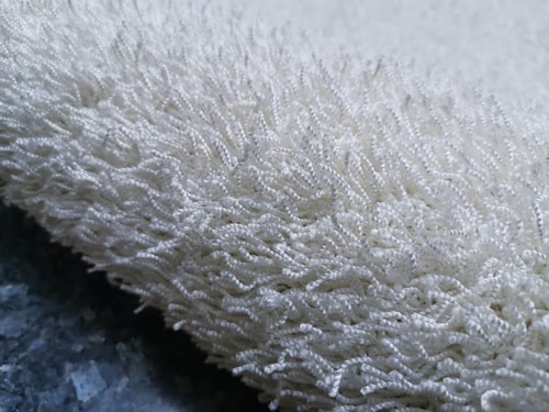 Vivaldi Exclusive 10