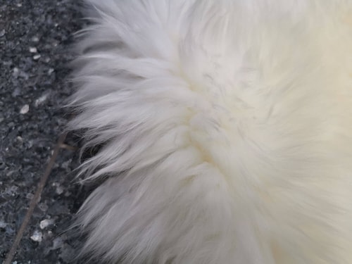 Bowron 1 dílný Gold star