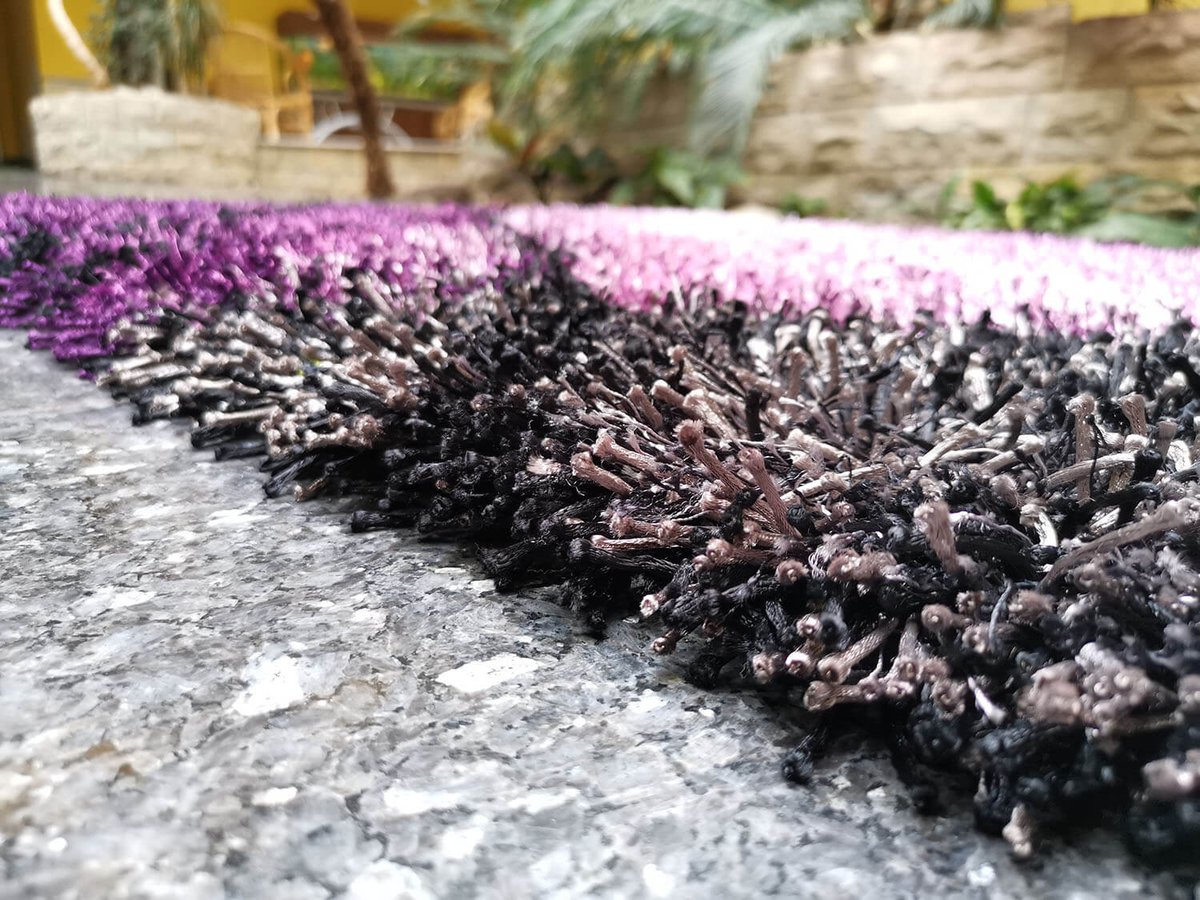 Lavella 1208 violet