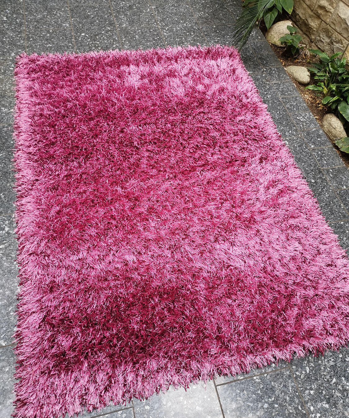 Shaggy 26 purple