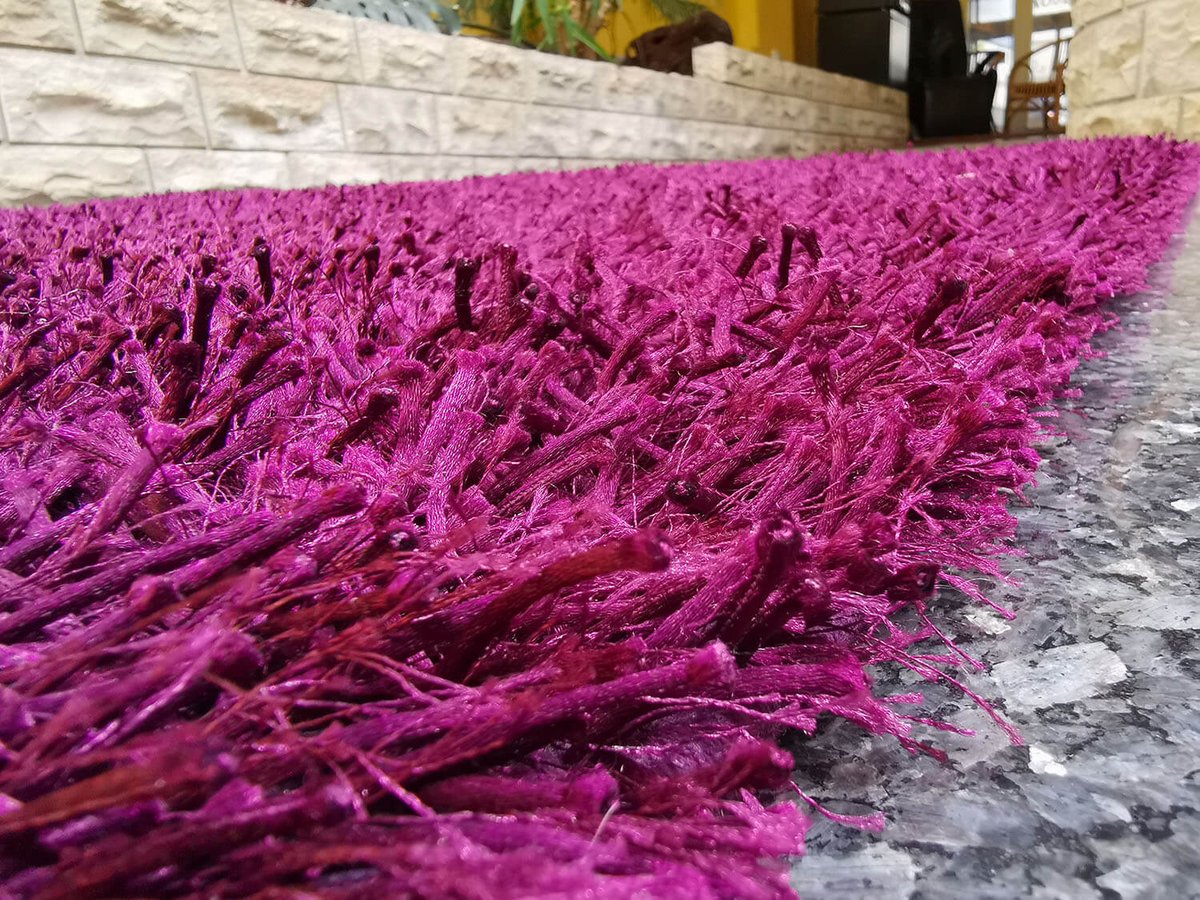 Lambada aubergine
