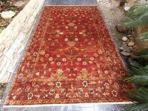 Samarkand Moghal 44 rost