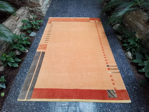 Patana special 793 apricot