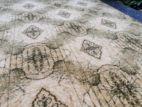 Kalipso olivka Isfahan