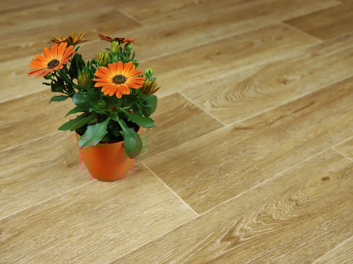 Textra Chaparral 536