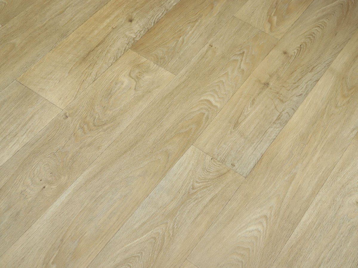 Textra Toronto 562