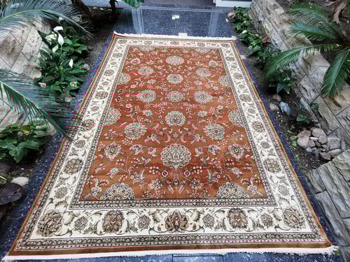 Beluchi 9880806-8262