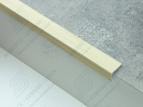 Schodová hrana 24,5x19 mm Profilpas 10