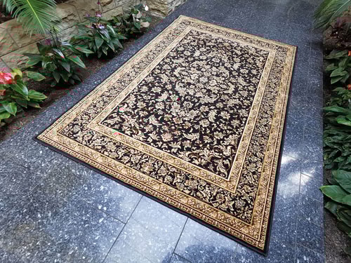 zzz 2024-07-03 Hermiona černá