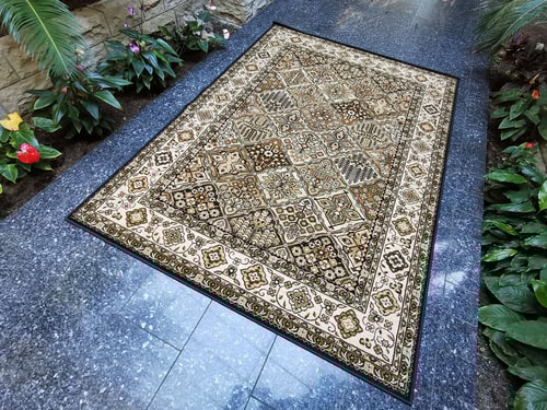 zzz 2025-05-15 Bergenia oliva