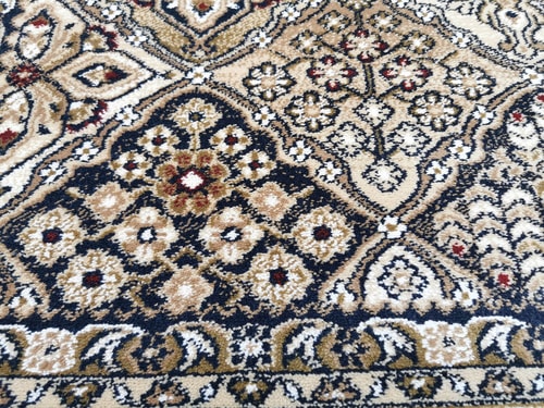 zzz 2025-05-15 Bergenia oliva