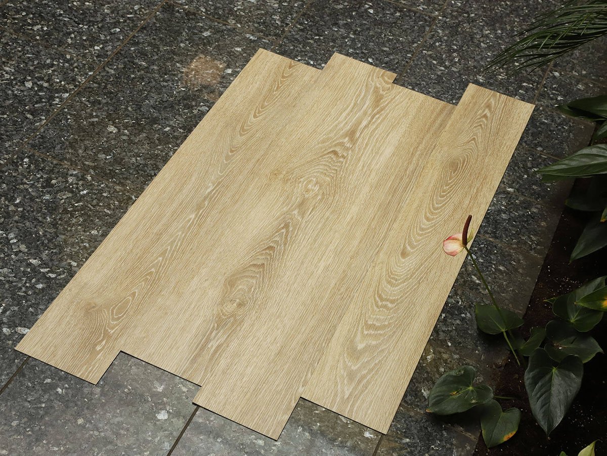 Primero 22837 Evergreen oak