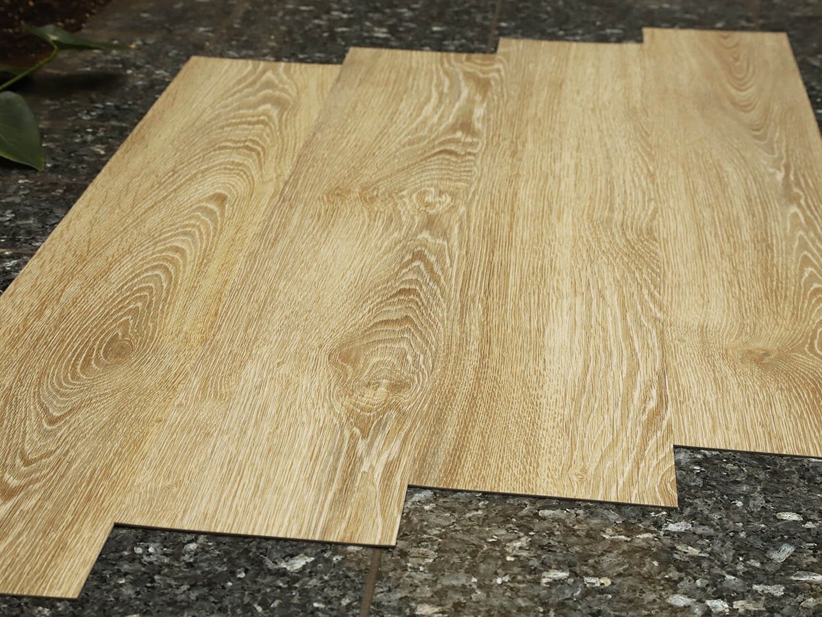 Primero 22837 Evergreen oak