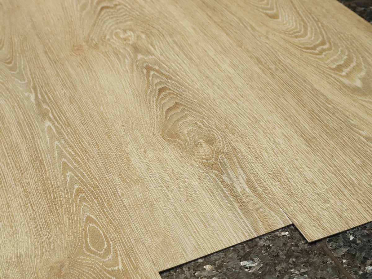 Primero 22837 Evergreen oak