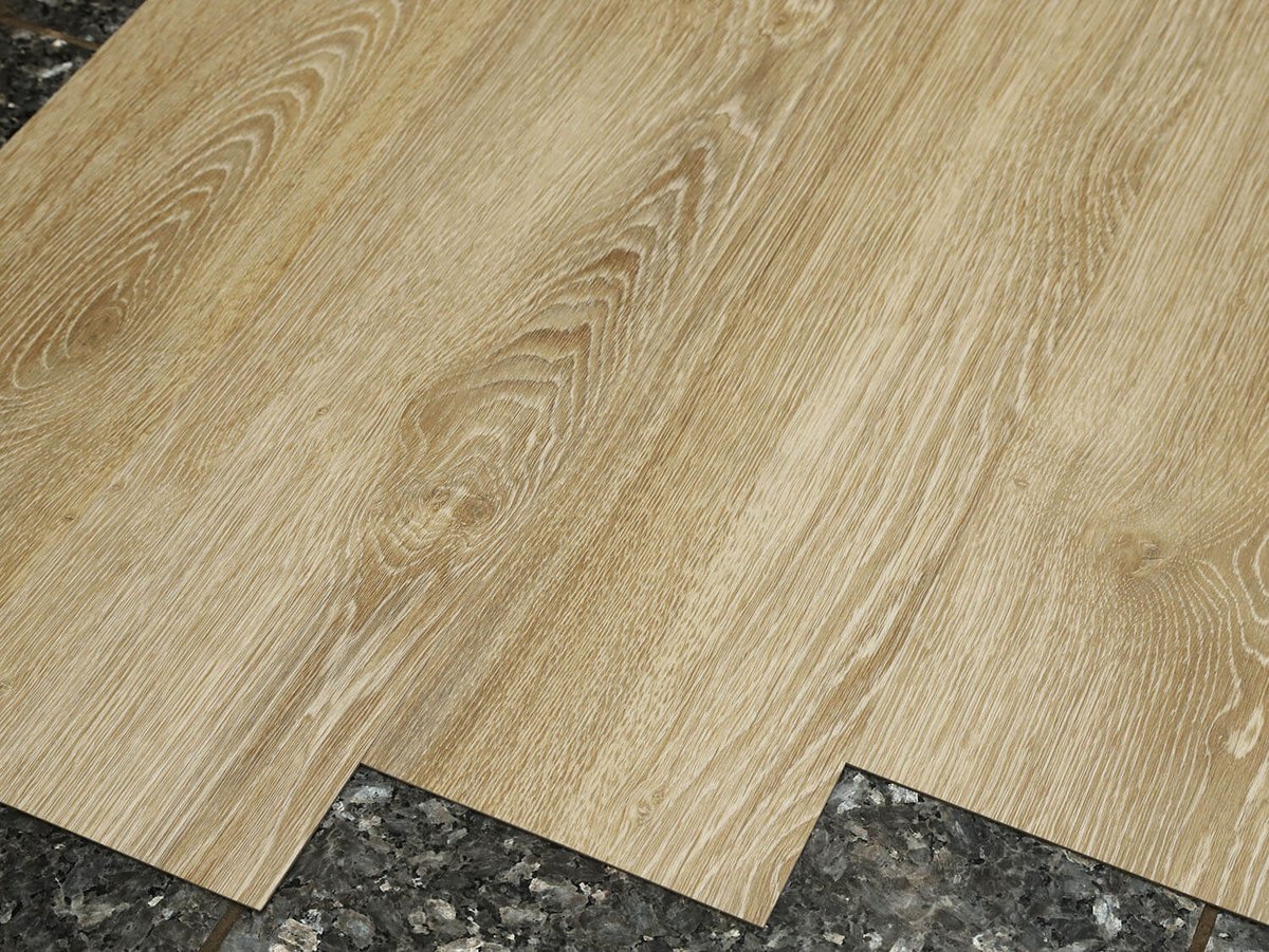 Primero 22837 Evergreen oak