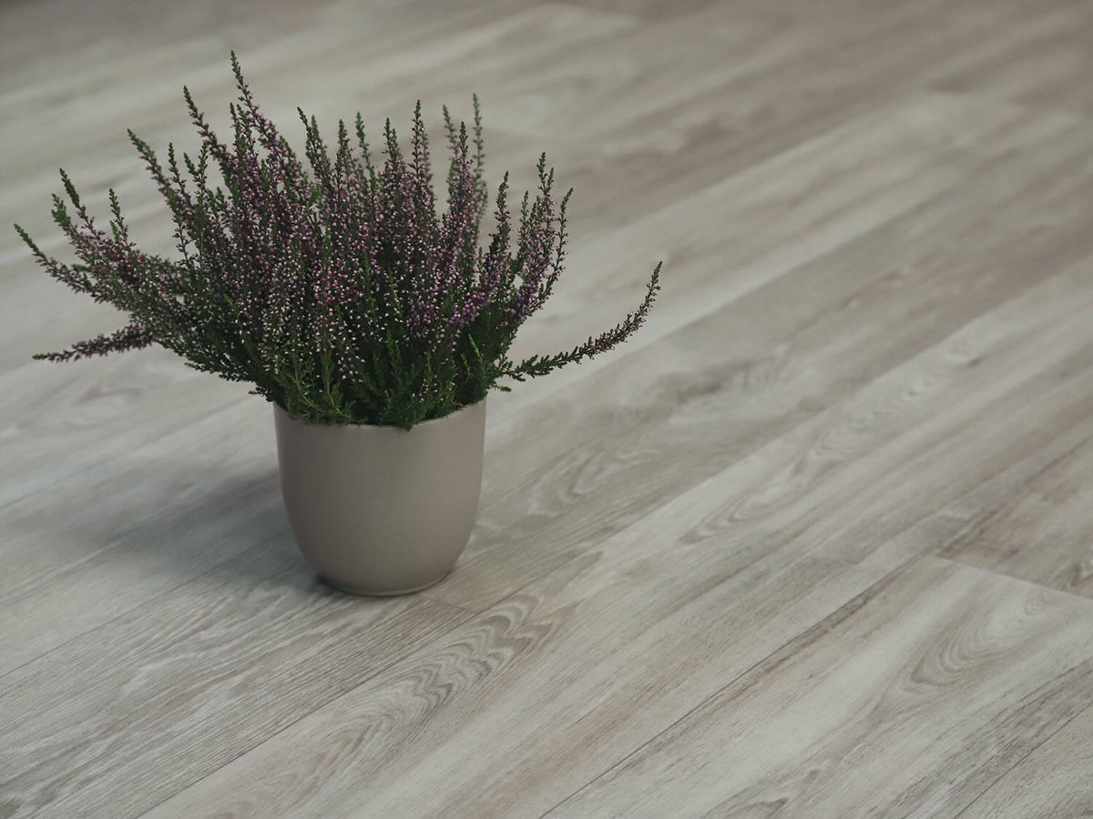 Xtreme Havanna Oak 2696L