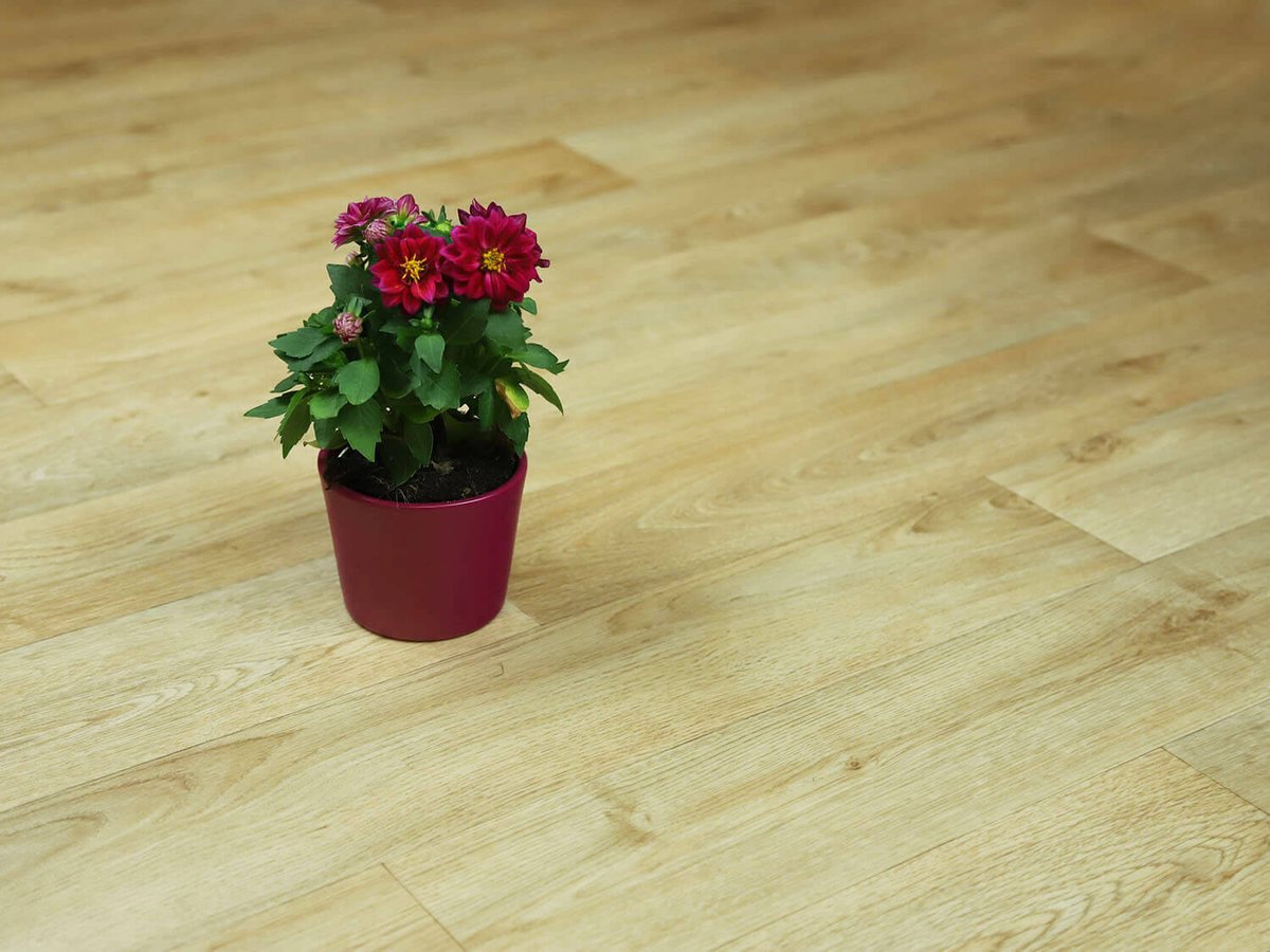 Woodline Tavel 1534