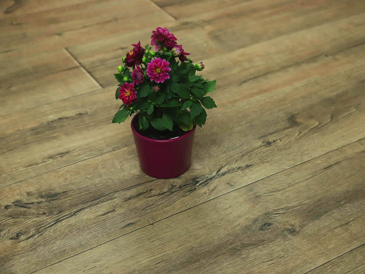 Woodline Edgewood W43