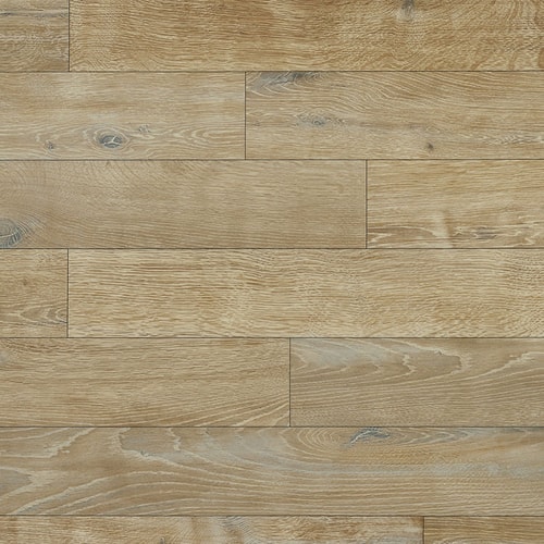 NFE Amos 2017-82 Novoflor Extra