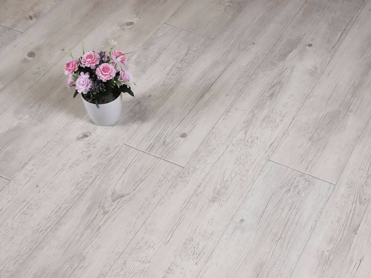 Woodline Costeau W06