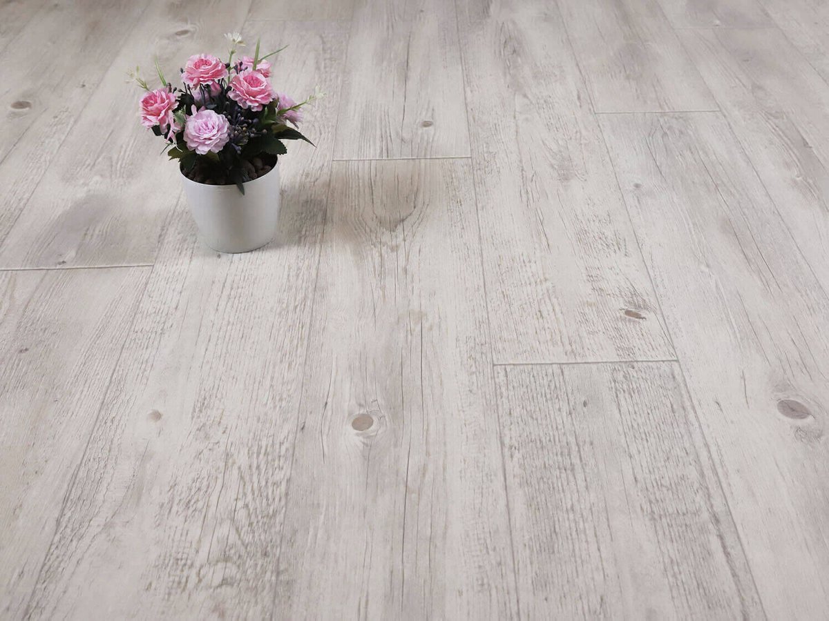 Woodline Costeau W06