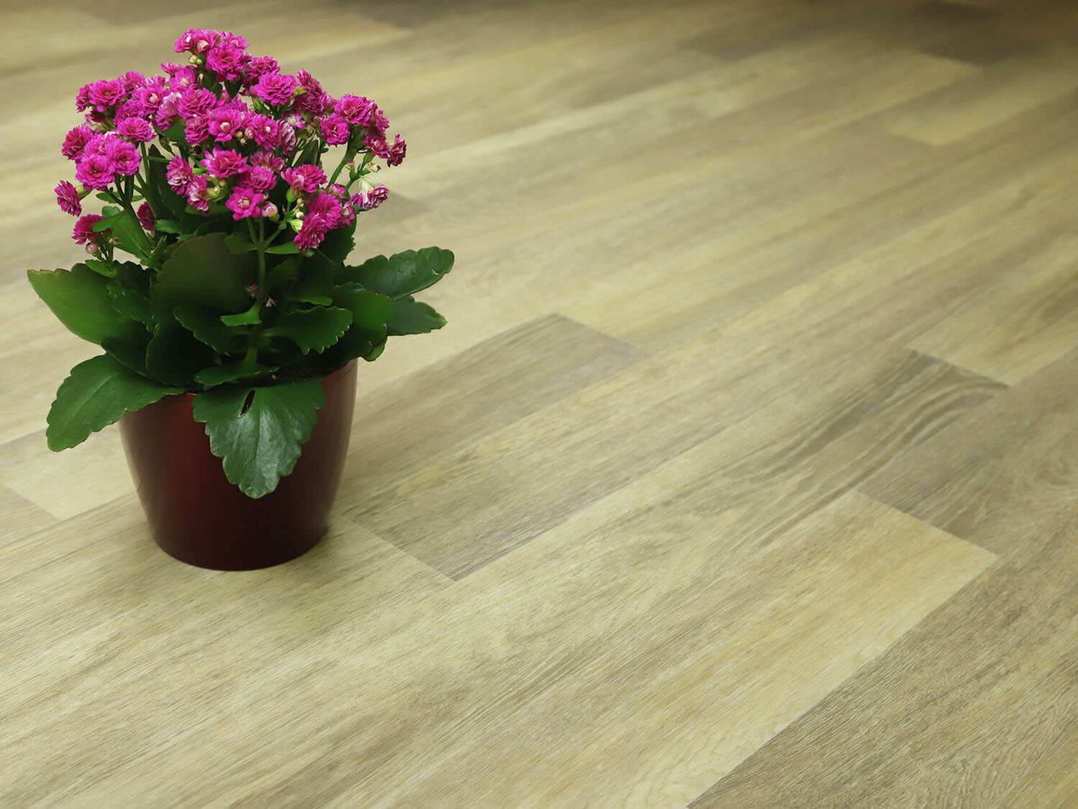 Centaur Natural Oak 639M