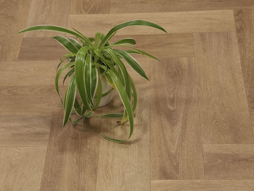 Textra Patagonia 556