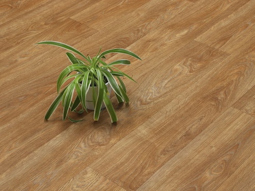 Centurion Allure T45