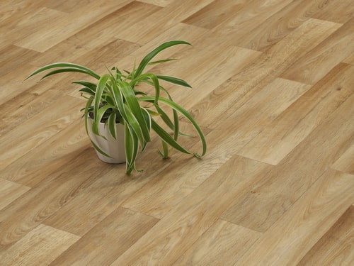 Centurion Camargue T10