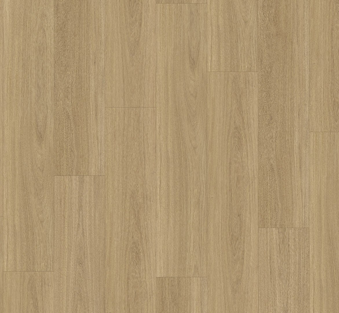 Basic 5.3 Dub Oxford přírodní 1748823