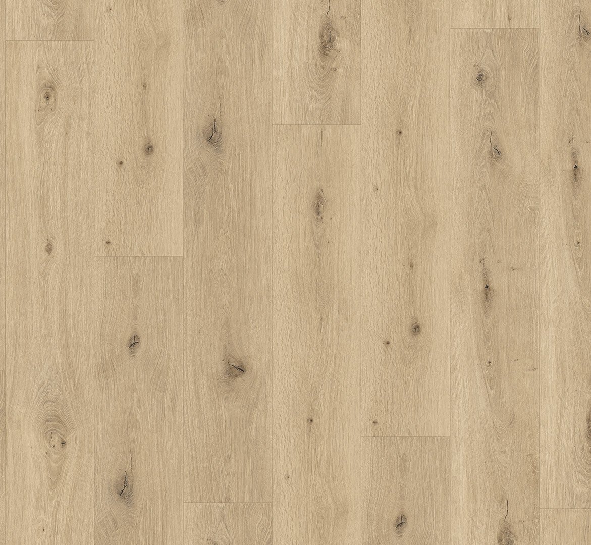 Trendtime 8 Dub Imperial pure 1744826