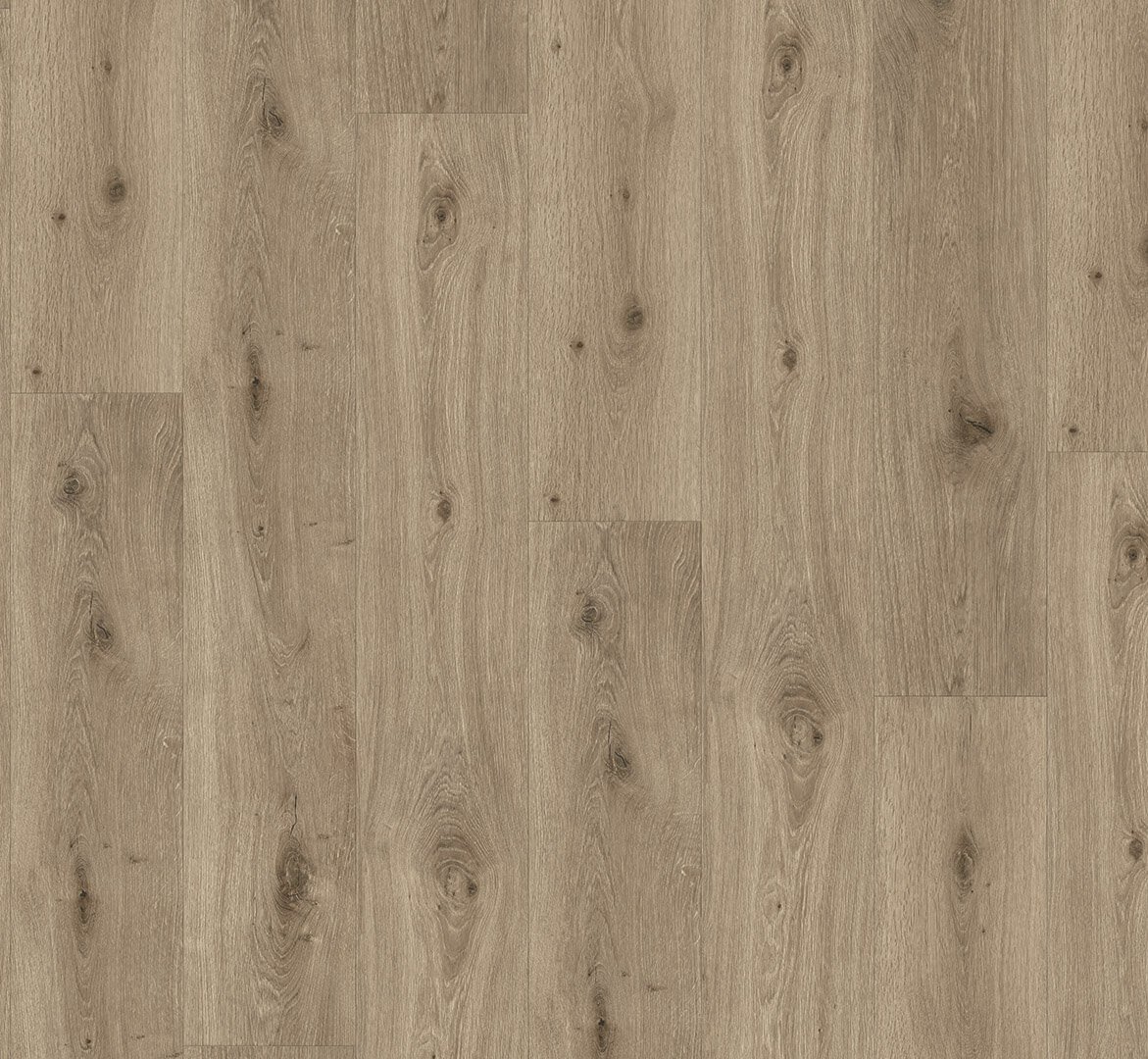Trendtime 8 Dub Imperial macchiato 1744827