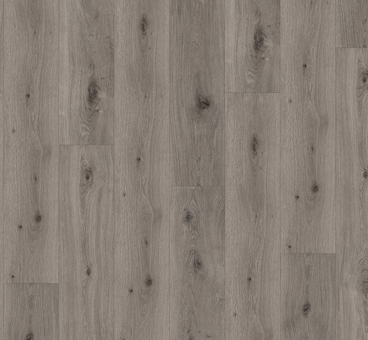 Trendtime 8 Dub Imperial světle šedý 1744828