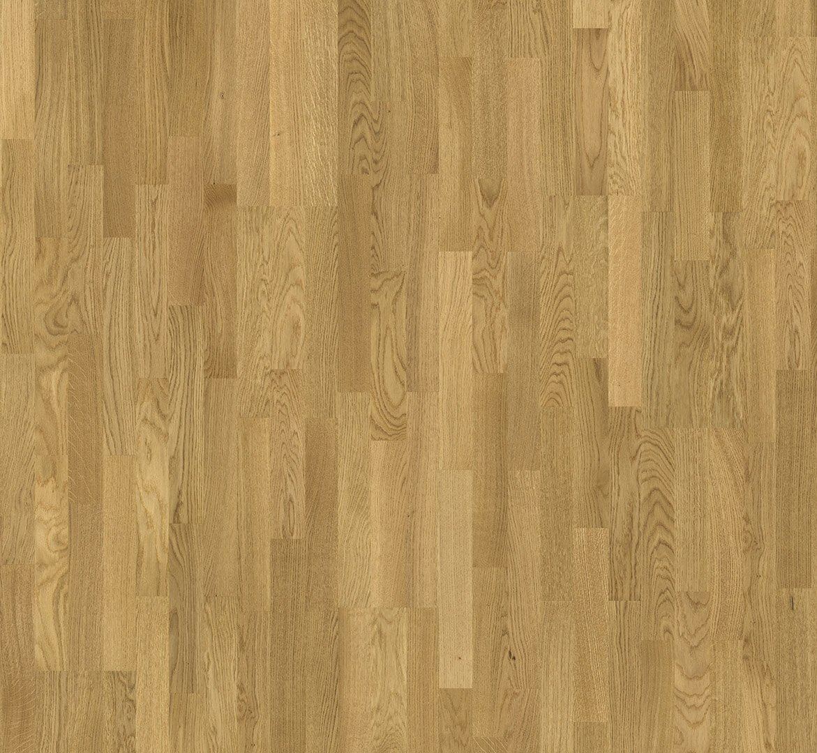Basic 11-5 Dub 3p, natur, matný lak 1595131