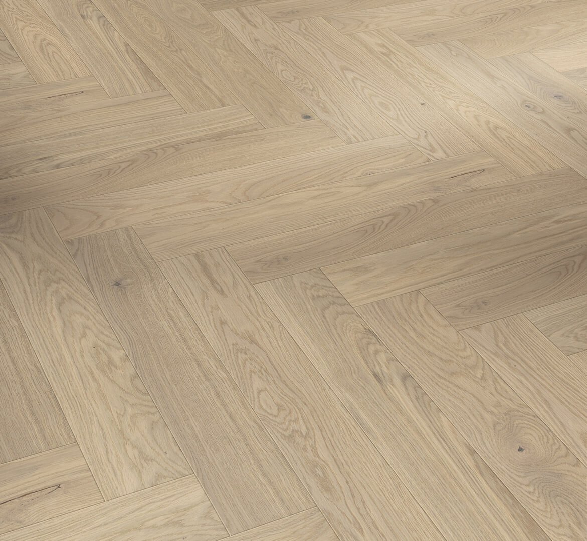 Trendtime 3 Dub Bardolino bílý 1748883