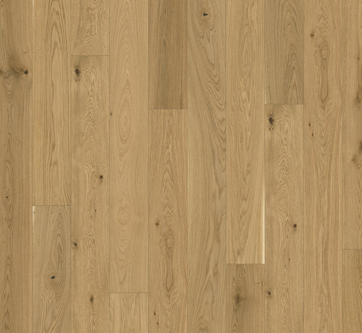 Trendtime 4 Dub Molvina přírodní 1748907