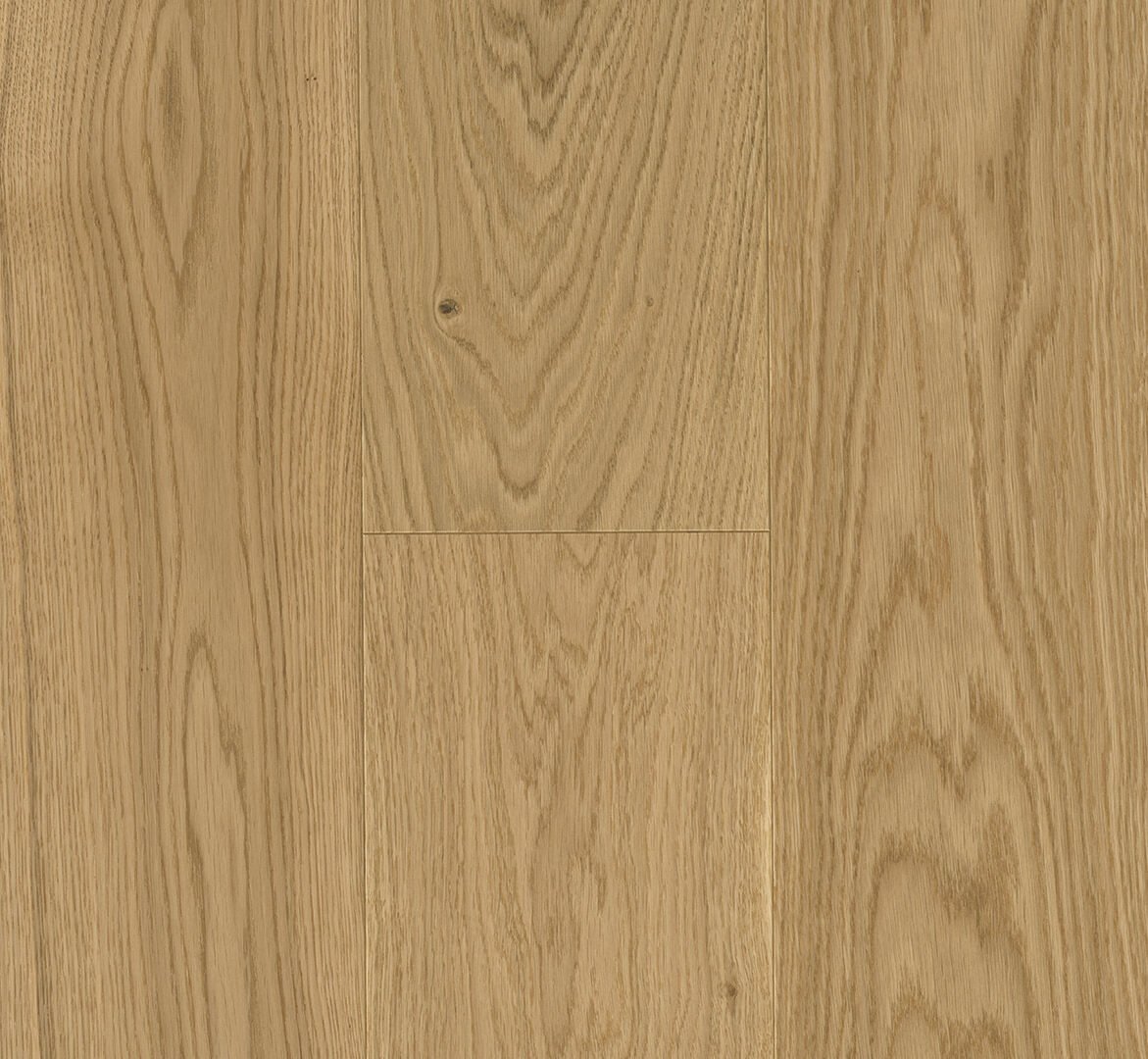 Trendtime 4 Dub Molvina přírodní 1748907