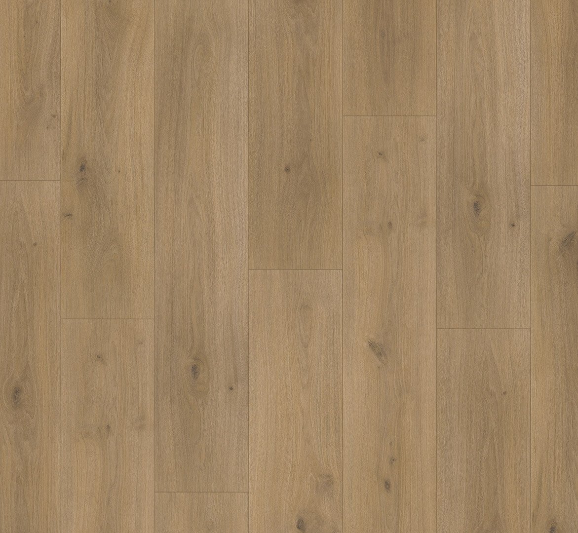 Basic 600V Dub Horizont přírodní 1593845