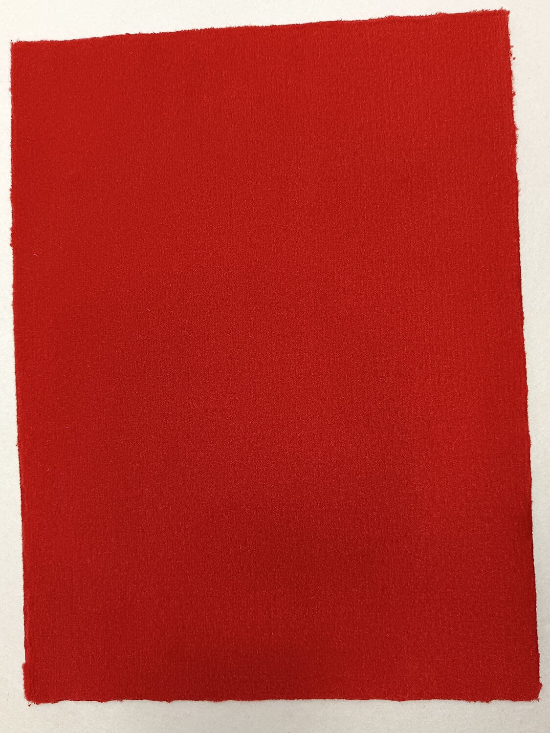 Nexus 8236 carminio