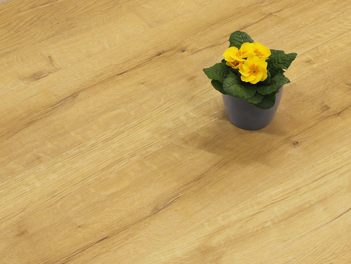 Rigid LVT Dub labský EIR 9475