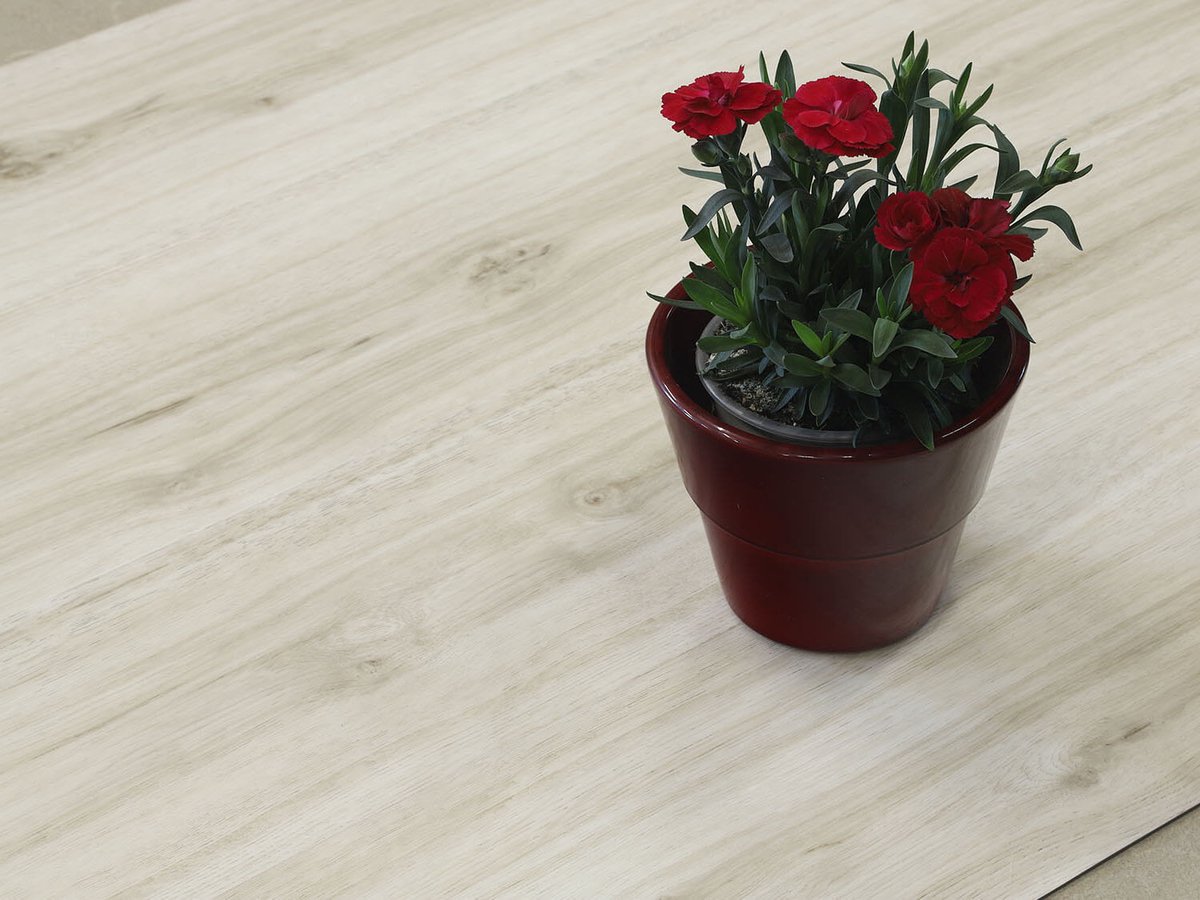 Thermofix PRO 14167-1 Dub Roma