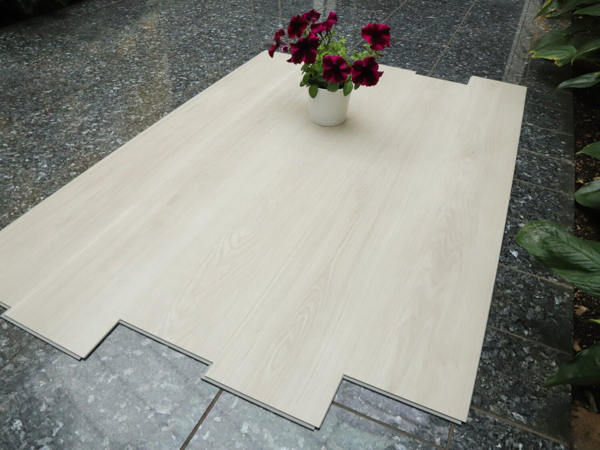 Zenn 55 RigidClick Oslo 60002233