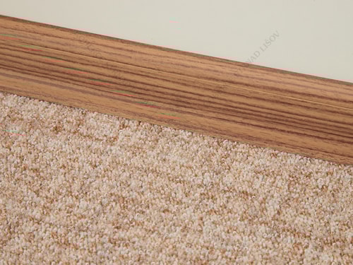 SLK 50 - W178 african zebra