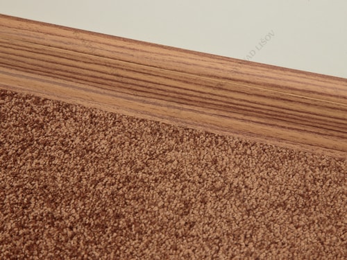 SLK 50 - W178 african zebra