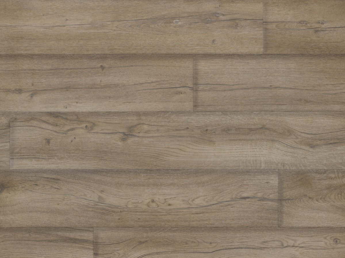 NFE Mars 2420-53 Novoflor Extra