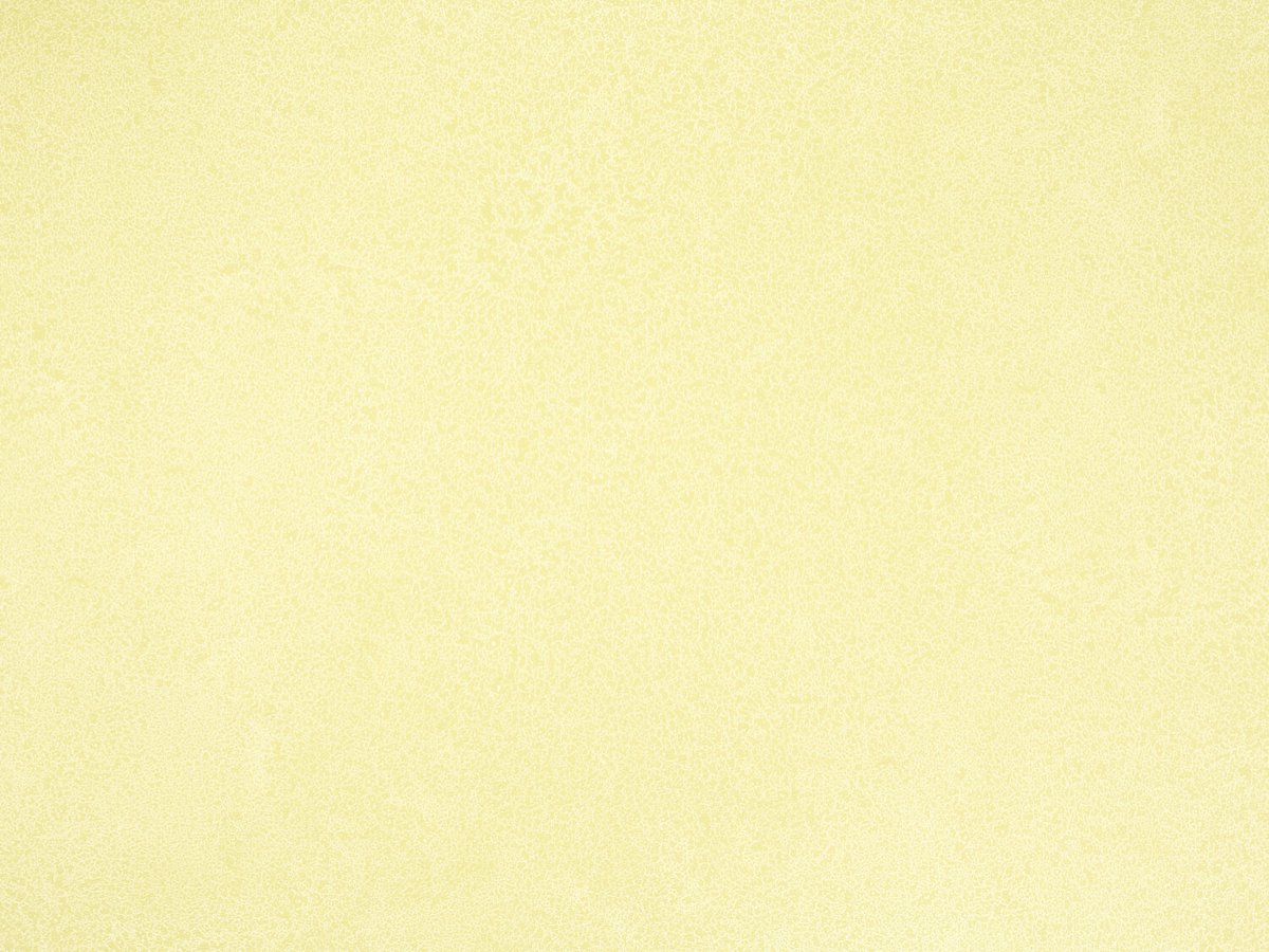 NFE Sparkle 2440-1 Novoflor Extra